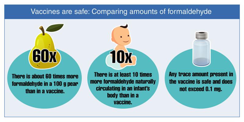 A graphic demonstrating the amount of formaldehyde in a pear, the amount that naturally circulates in a infant's body, and the trace amount in vaccines. These amounts are extremely safe.